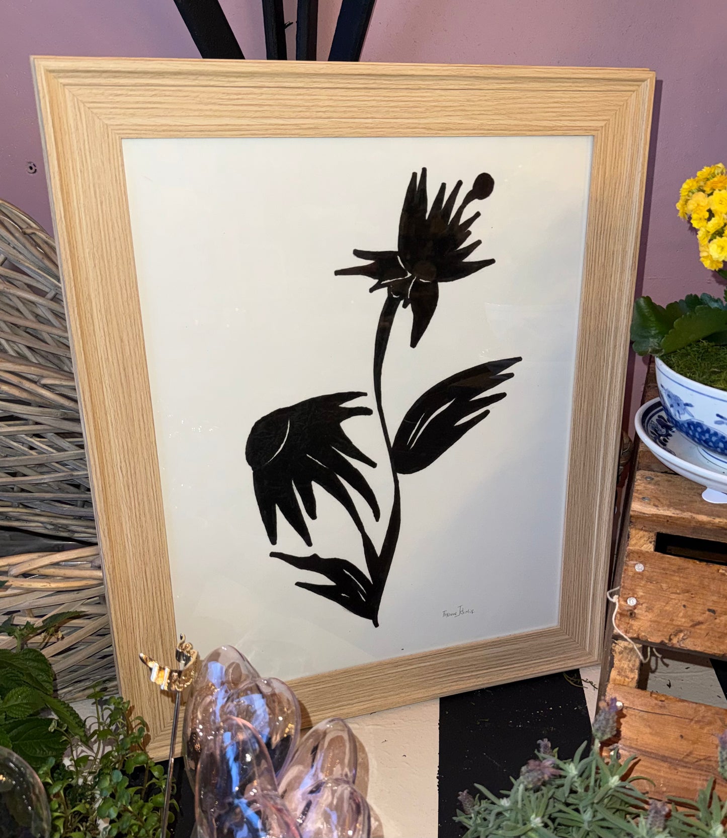 Flora Obscura